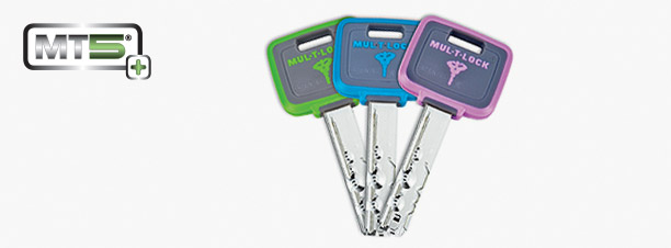 612x226_Banner_1_MT5_ColorKeys 612x226_Banner_1_MT5_ColorKeys
