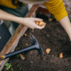 1072100 Fiskars Solid plöntuklóra með sköfu